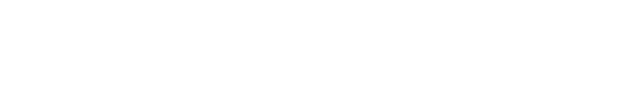 Paradigm21 Realty - Horizontal (White)