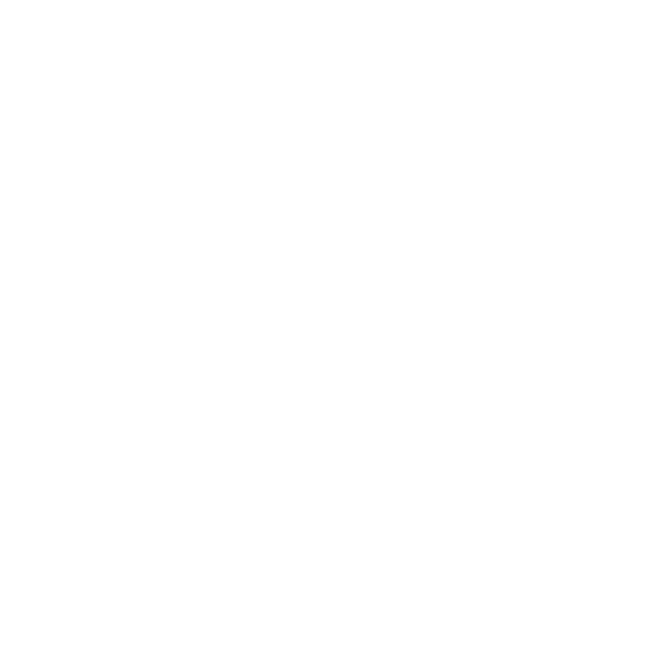 Paradigm21 Realty - Icon (White)
